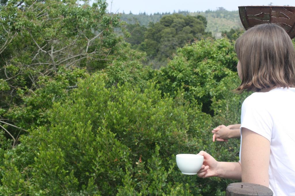 Redbourne Country Lodge - Lion Roars Hotels & Lodges Plettenberg Bay Eksteriør billede
